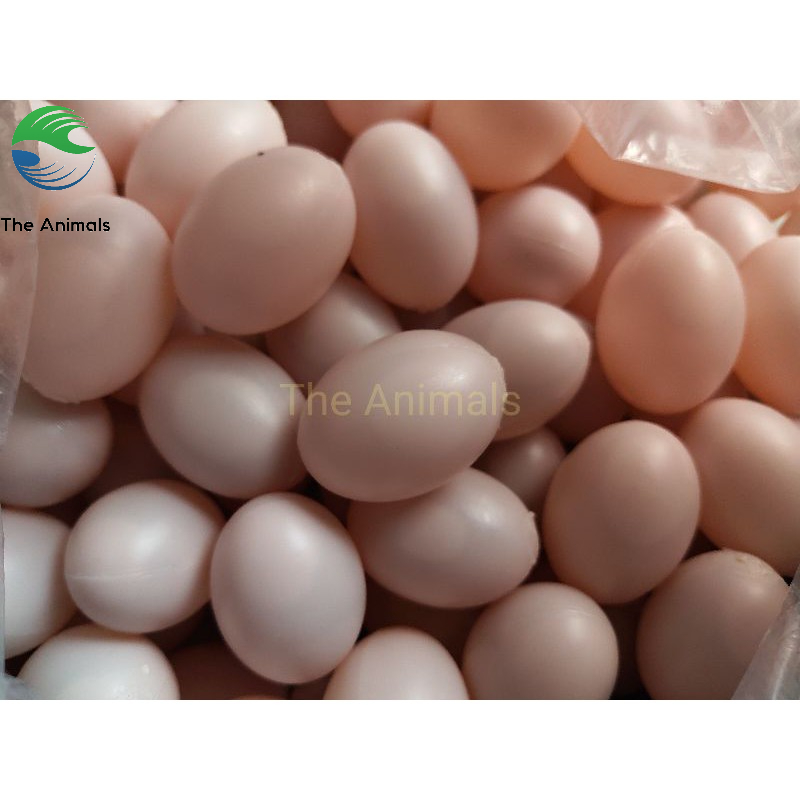 Trứng chim bồ câu giả - Trứng nước hồng set 100 cái