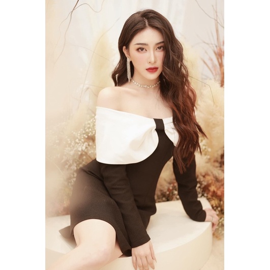 VÁY ĐẦM THIẾT KẾ DÀI TAY TRỄ VAI CÁCH ĐIỆU NƠ BẢN LƠN