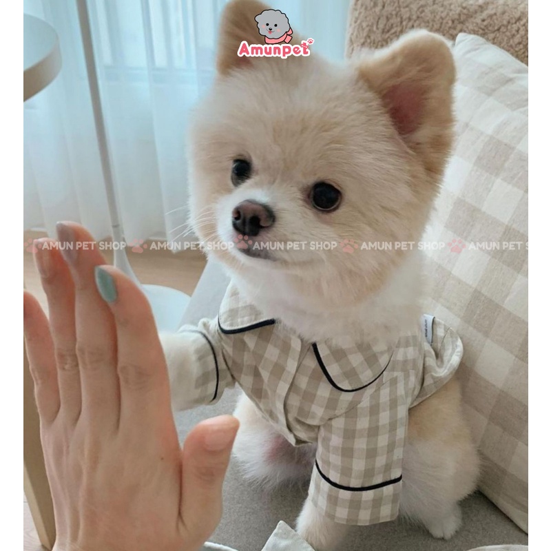 Áo Pijama Cho Chó Mèo Cún Cưng Cao Cấp Hàn Quốc Sang Chảnh Dễ Thương Đồ Ngủ Quần Áo Cho Thú Cưng Amun Pet