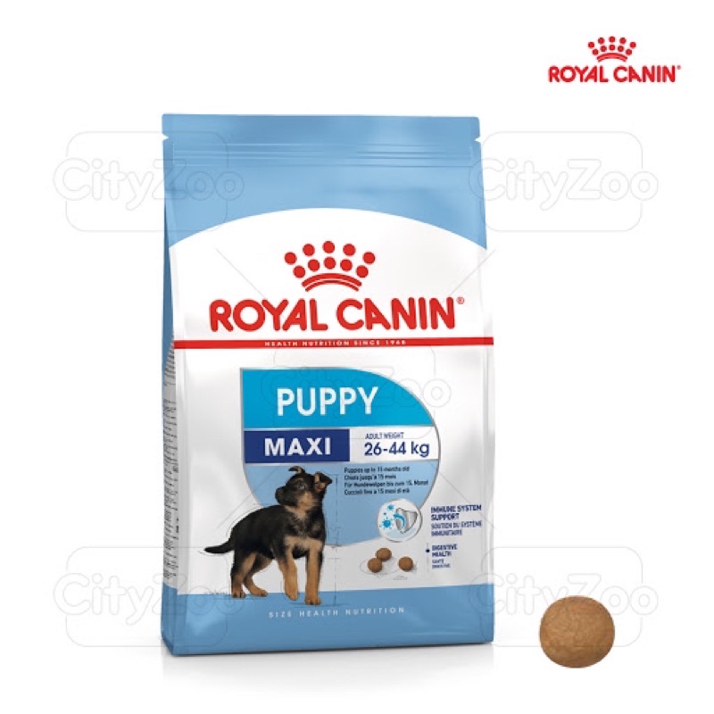 Royal canin chính hãng dòng cún to Maxi 4kg