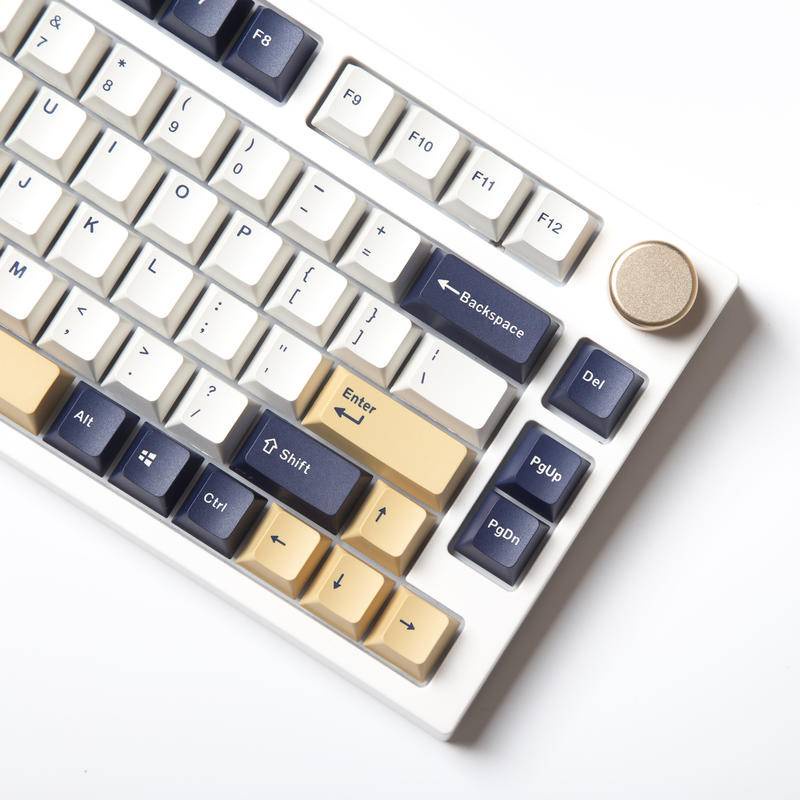 Rudy Keycap Doubleshot Bàn Phím OEM 120 Phím Đầy Màu Sắc Cho Bàn Phím 61 / 64 / 87 / 104