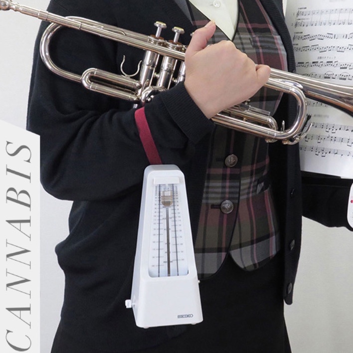 Máy đếm nhịp cơ Seiko Metronome SPM400W - SPM400BK