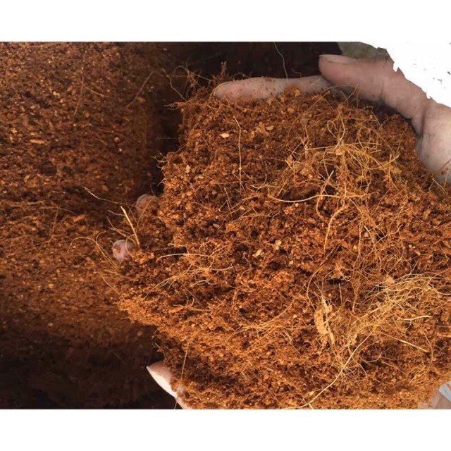 1 kg Mùn xơ dừa trồng lan, cây cảnh, rau mầm