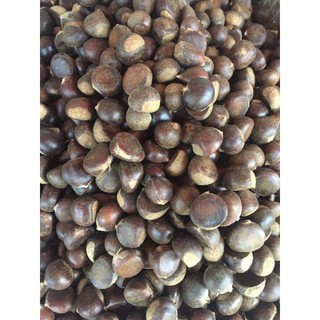 hạt dẻ rừng sapa 0833605001