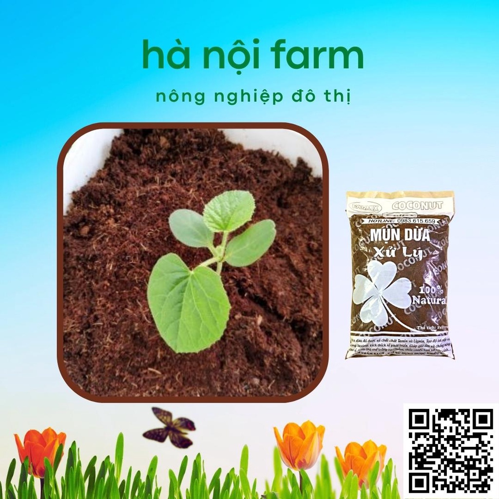 Mùn Dừa, Xơ Dừa Đã Qua Xử Lý - Túi 10lit . Trồng Rau Sạch, ươm hạt