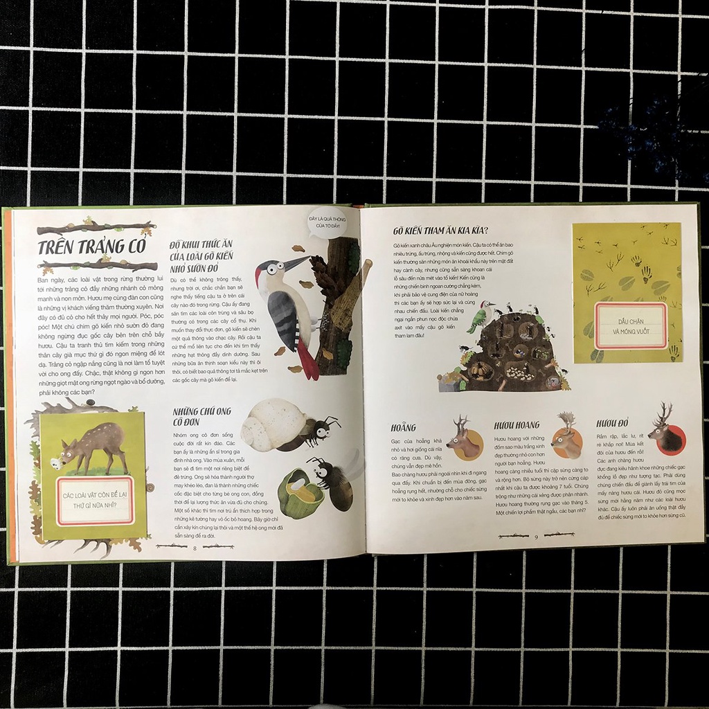 Sách - Hải Ly &quot;Giải Quyết Nỗi Buồn&quot; Ở Đâu? - Dấu vết để lại của động vật