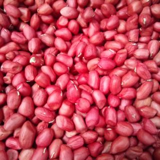 Lạc đỏ - Hà Giang - 1kg