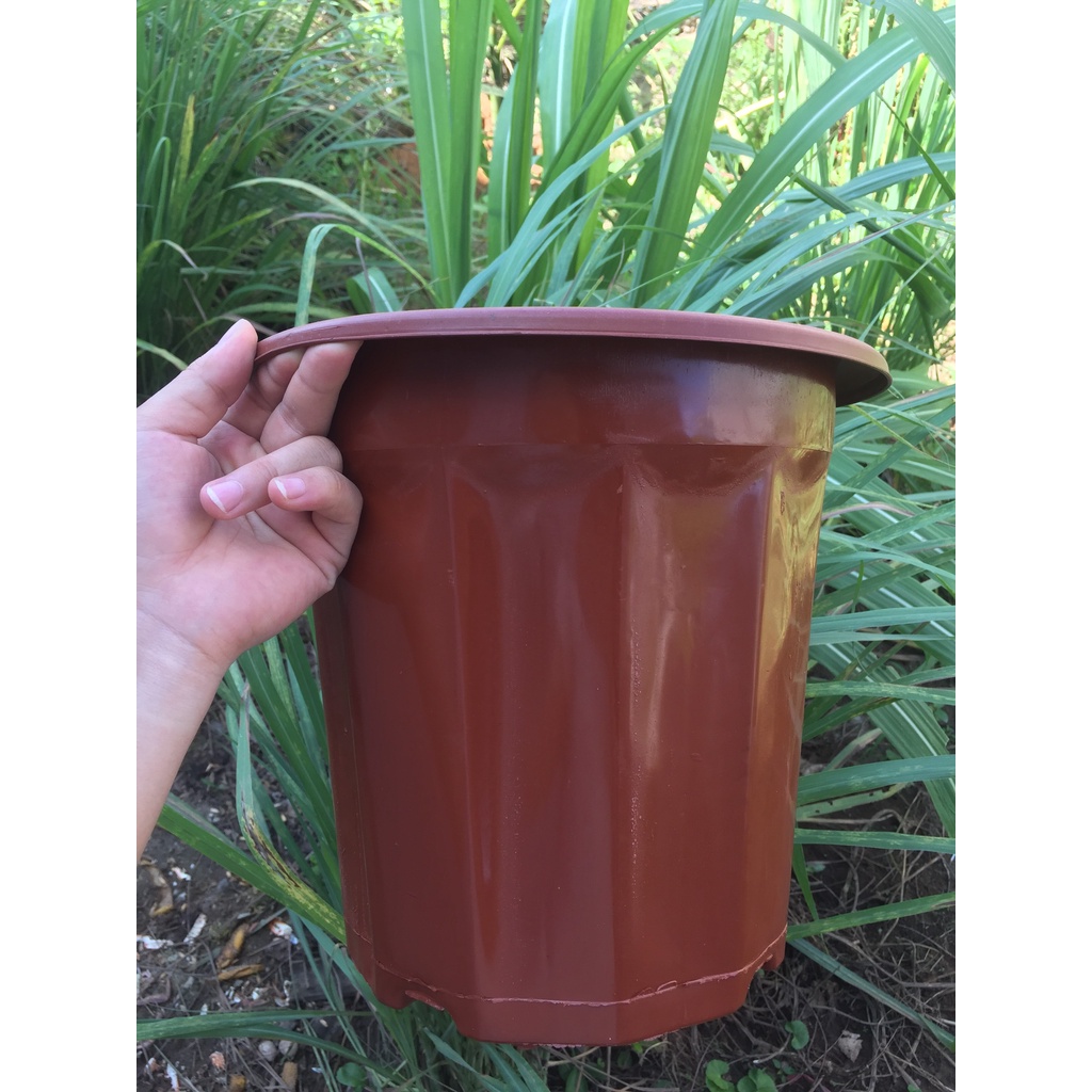 10 CHẬU NHỰA TRỒNG CÂY MÃ #E320 (BẠT PHỦ ĐẤT CHỐNG CỎ MỌC, BẦU KHAY TÚI ƯƠM...)