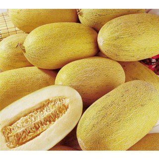 [HOT] Hạt Giống Dưa Lưới Vàng