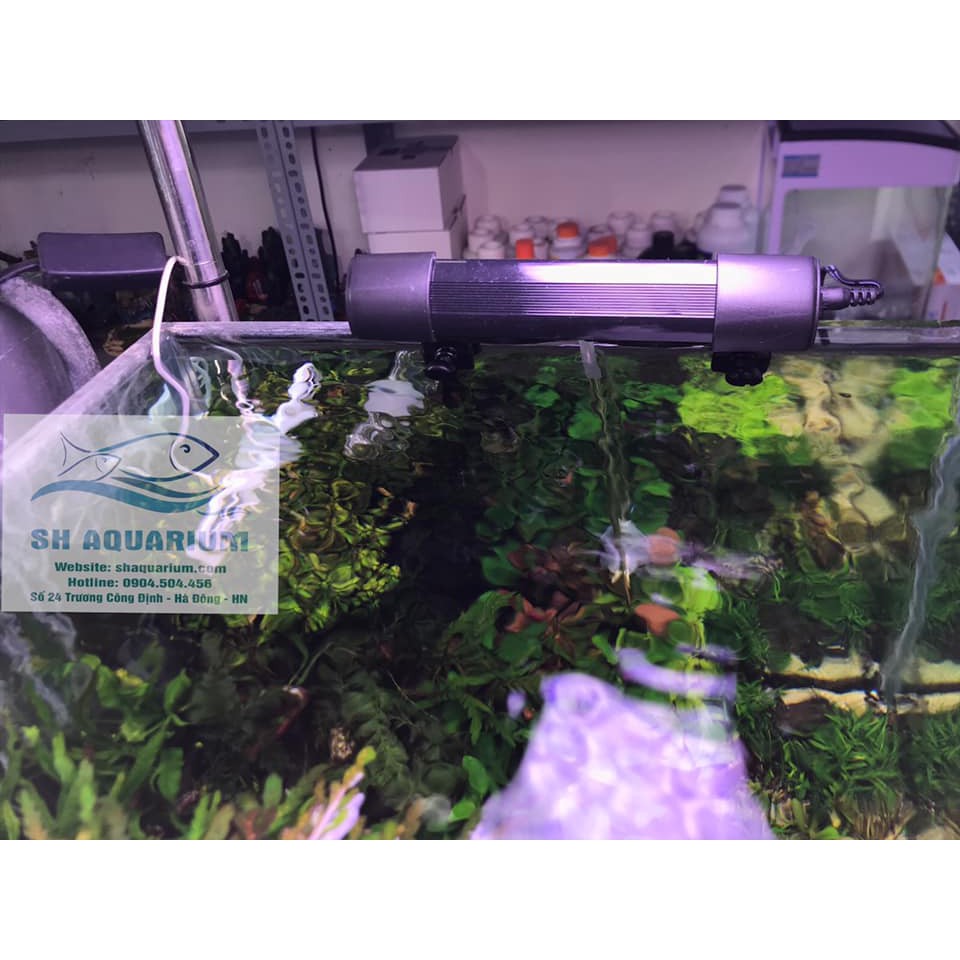 Quạt làm mát bể cá BOYU