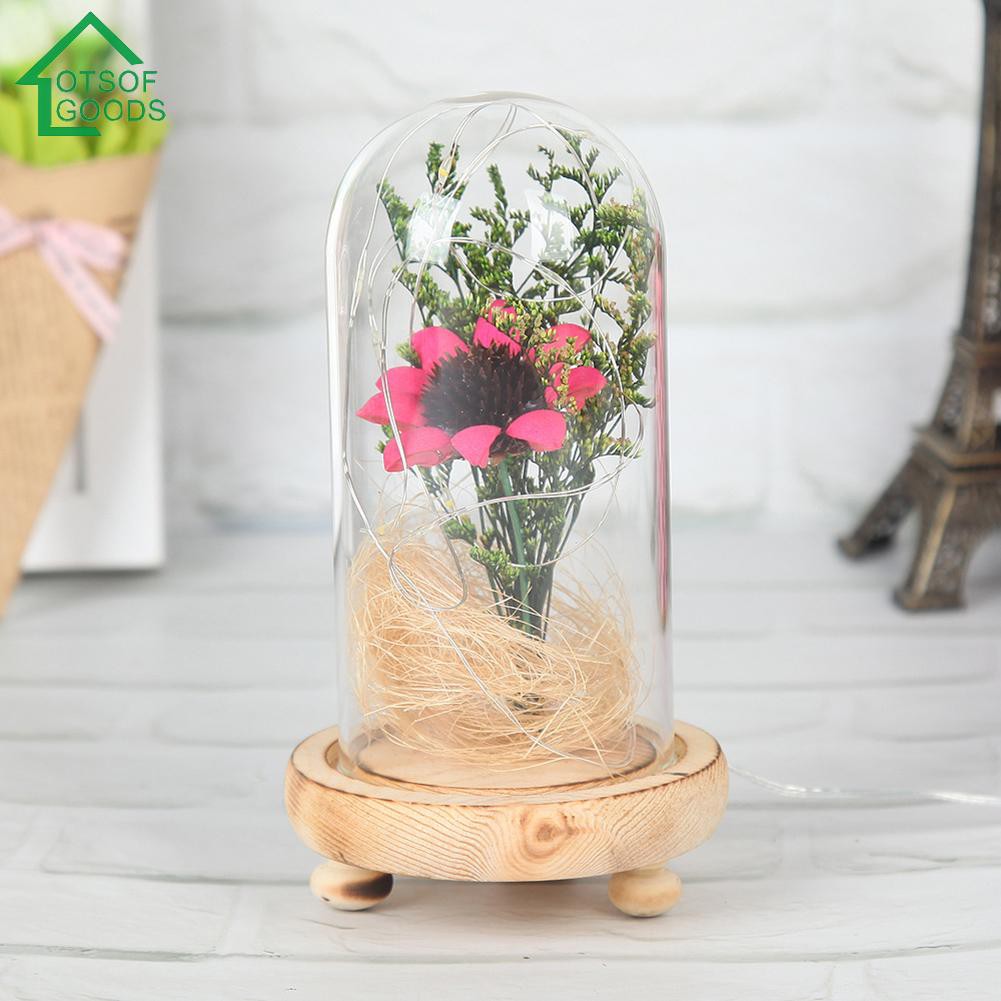Hoa khô trang trí cho phòng ngủ được bọc kính gắn đèn lung linh