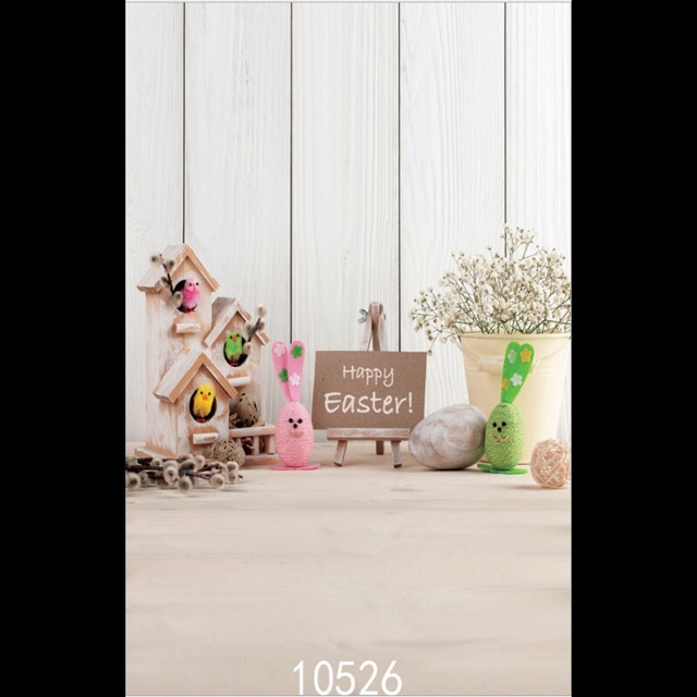 Thảm chụp ảnh 3d 10526