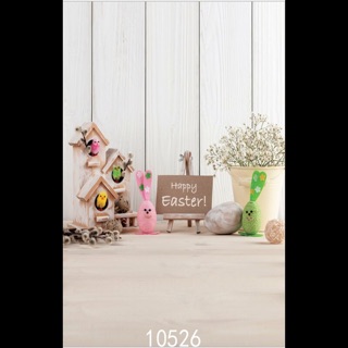 Thảm chụp ảnh 3d 10526