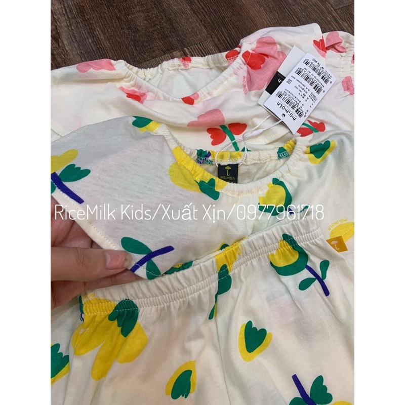 Bộ cộc bé gái Cotton Hàn Hoa To xuất xịn