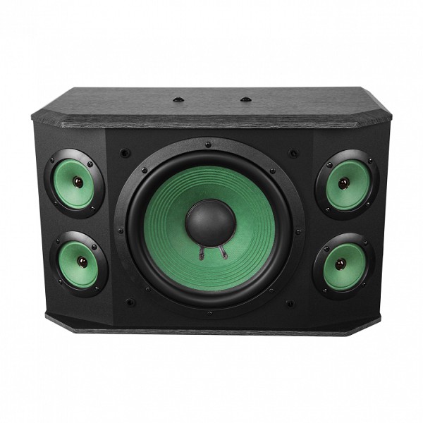 Loa Paramax Model P-1000