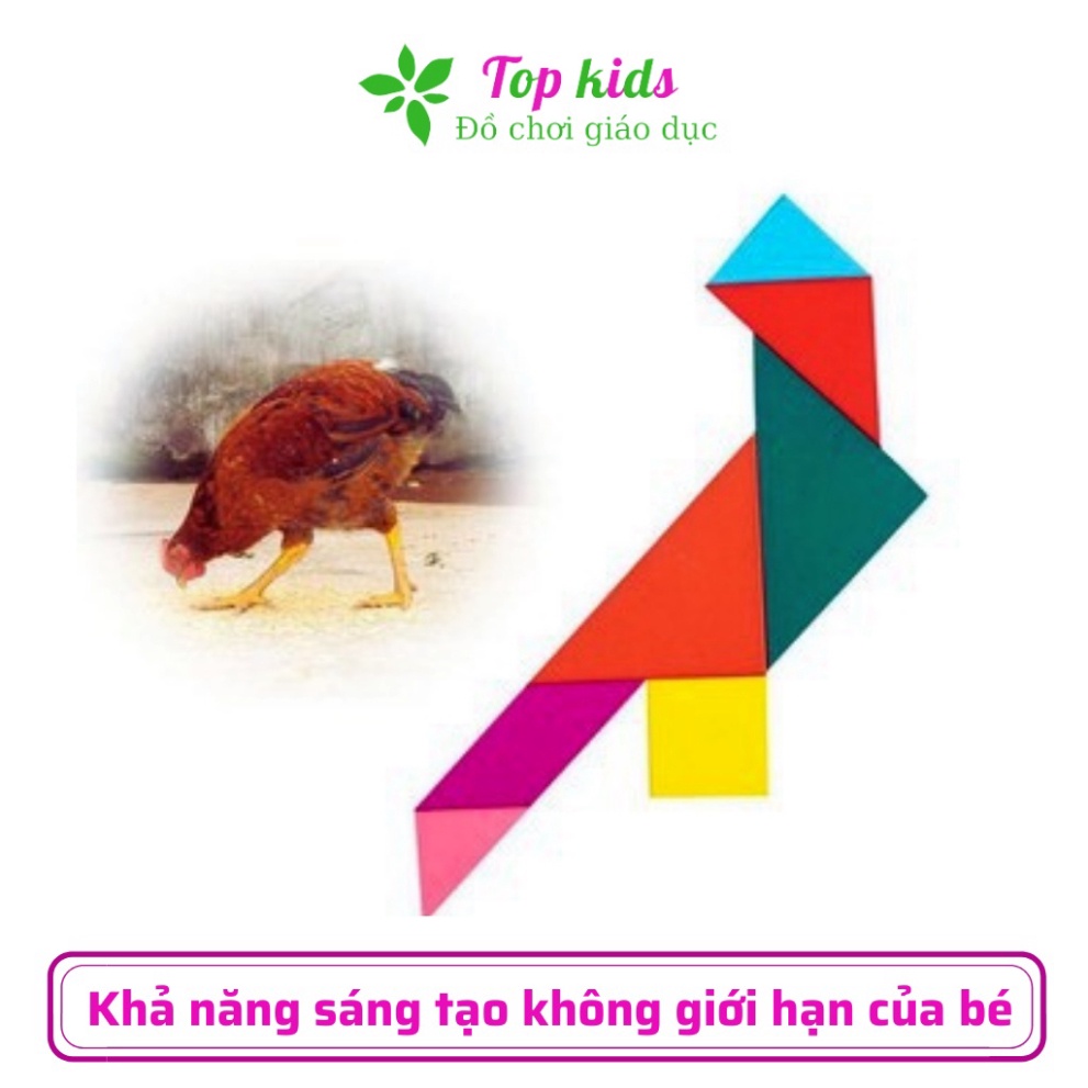 Đồ chơi Tangram xếp hình bằng gỗ montessori giúp trẻ thông minh trí tuệ cho bé trai bé gái - TOPKIDS