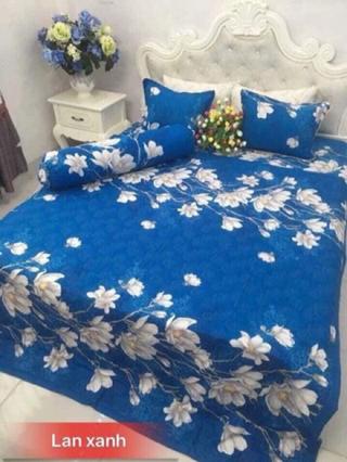 Bộ ga chun + 2 vỏ gối thanh lý