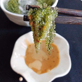 Rong nho muối