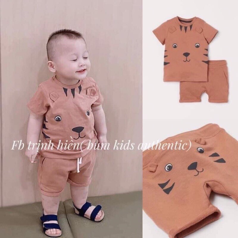 BÁN SỈ BỘ ĐÙI COTTON GẤU CAM BÉ TRAI