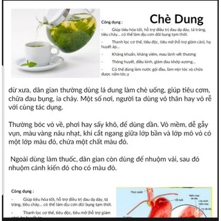 Trà lá Dung Vân Canh – Bình Định