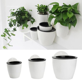 Chậu cây thông minh treo tường thiết kế tiện dụng