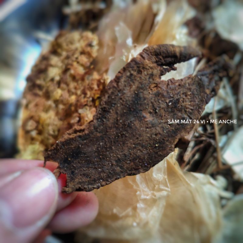 Sâm 24 vị phần nấu 10 lít sâm meanche