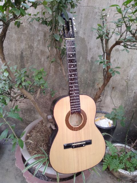 Guitar Classic mặt gỗ thông SIÊU RẺ (full phụ kiện)