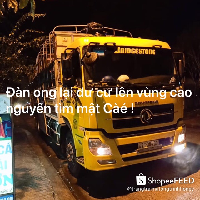 MUA 1 TẶNG 1 (Mật ong rừng 2 lit )