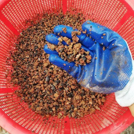 Xỉ Than Tổ Ong đập vụn  trộn đất trồng rau và hoa, lọc bể cá