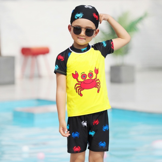 Bộ Đồ Bơi 2 Mảnh Tay Ngắn In Hoạt Hình Dễ Thương Cho Bé Trai