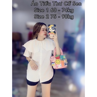 Áo Tiểu Thư Bigsize 60 - 90kg