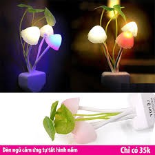 Đèn ngủ hình nấm avatar 2019