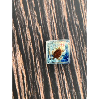keycap rùa biển