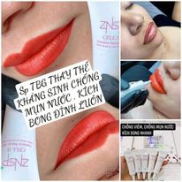 Tế bào gốc  znsp