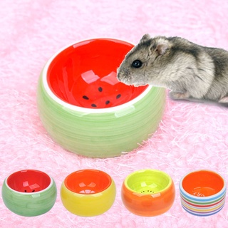 Bát sứ đựng thức ăn cho chuột hamster tiện dụng