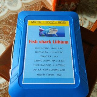 Pin lithium PHOTPHATSE 100Ah