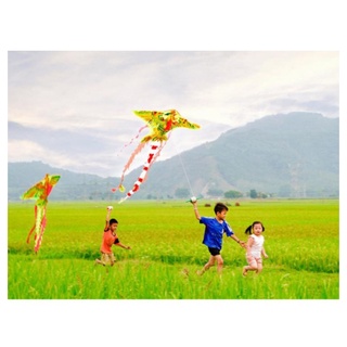 Diều phượng hoàng lửa 2, 3, 4, 5 đuôi...tặng thêm 50m dây