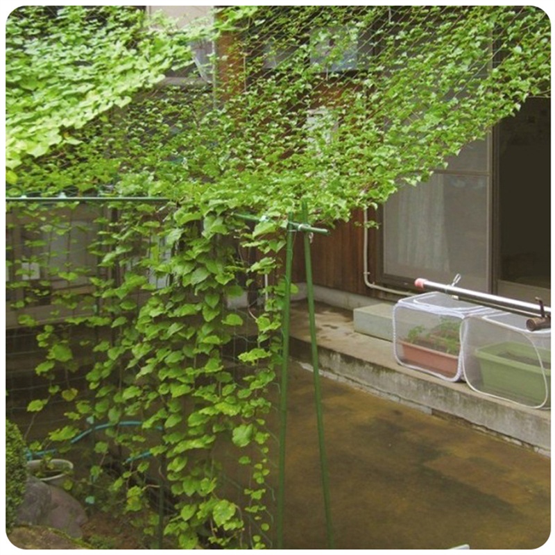 Lưới Hỗ Trợ Trồng Cây Dây Leo Bằng Nylon Màu Xanh Lá