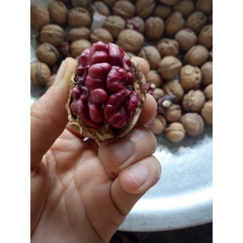 Quả Óc Chó Đỏ Mỹ 500g