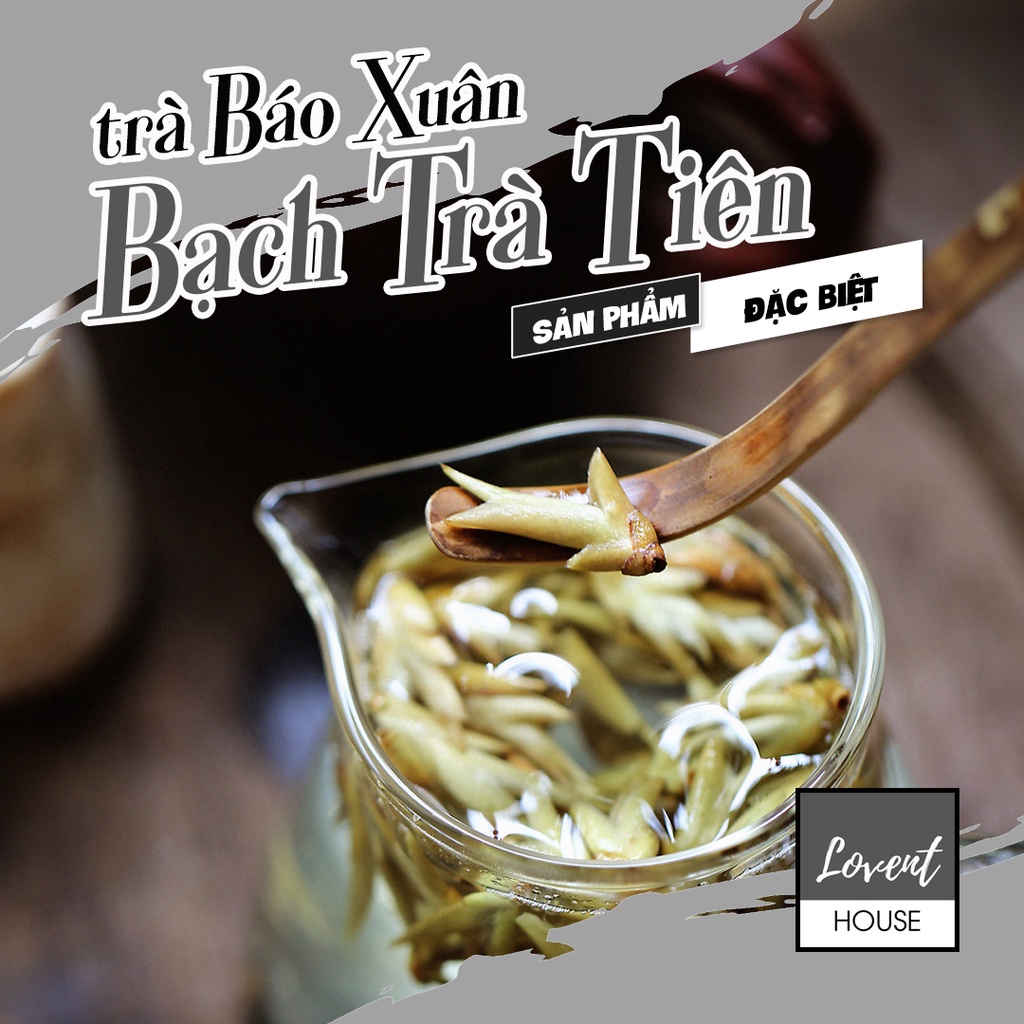 [Ảnh thật] 100G Trà BÁO XUÂN - BẠCH TRÀ TIÊN - Những búp trà báo hiệu mùa xuân về, ngọt thơm thanh nhã [LOVENT HOUSE]]