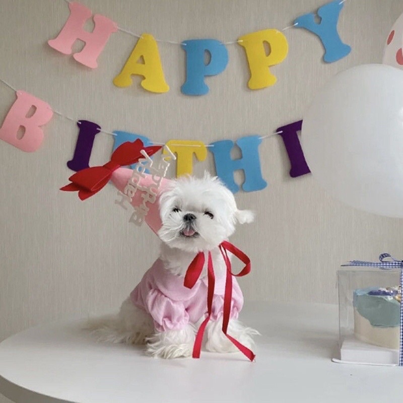 Mũ Sinh Nhật HAPPY BIRTHDAY 3D phong cách Hàn Quốc siêu dễ thương cho bé