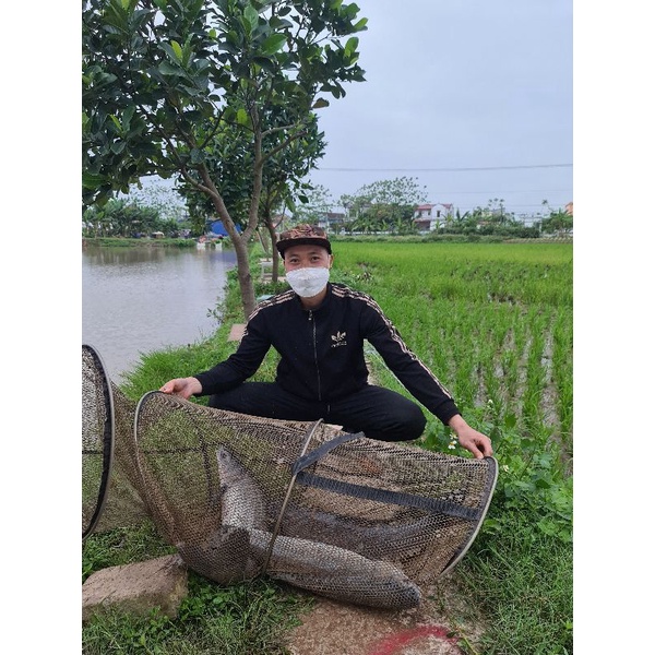 Phom Lưỡi Dựa,tỳ,đè  không Ngạnh Chất Lượng Cao  Siêu Cứng Cực Bén