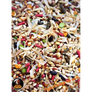 5kg Ngũ cốc nguyên hạt có mồi - Ngũ cốc gà đá