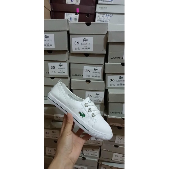 Giày lười lacostte trắng cá sấu fullbox