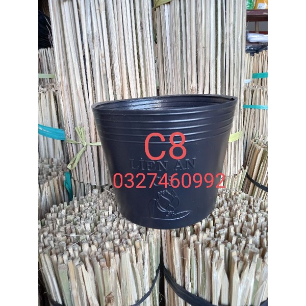 Combo 50 chậu nhựa đen C8 trồng cây