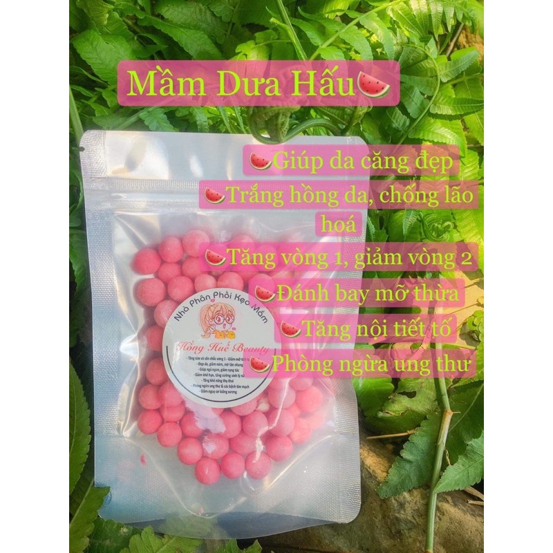 Mầm Hồng Huếbeauty
