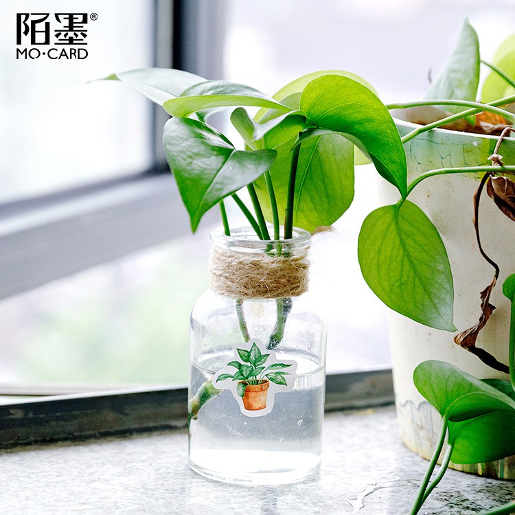 Hộp 45 Miếng Dán Trang Trí Hình Cây Lá Màu Xanh Của Cuộc Sống Xinh Xắn-M07