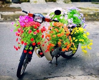 Nguyên liệu hoa giấy lụa