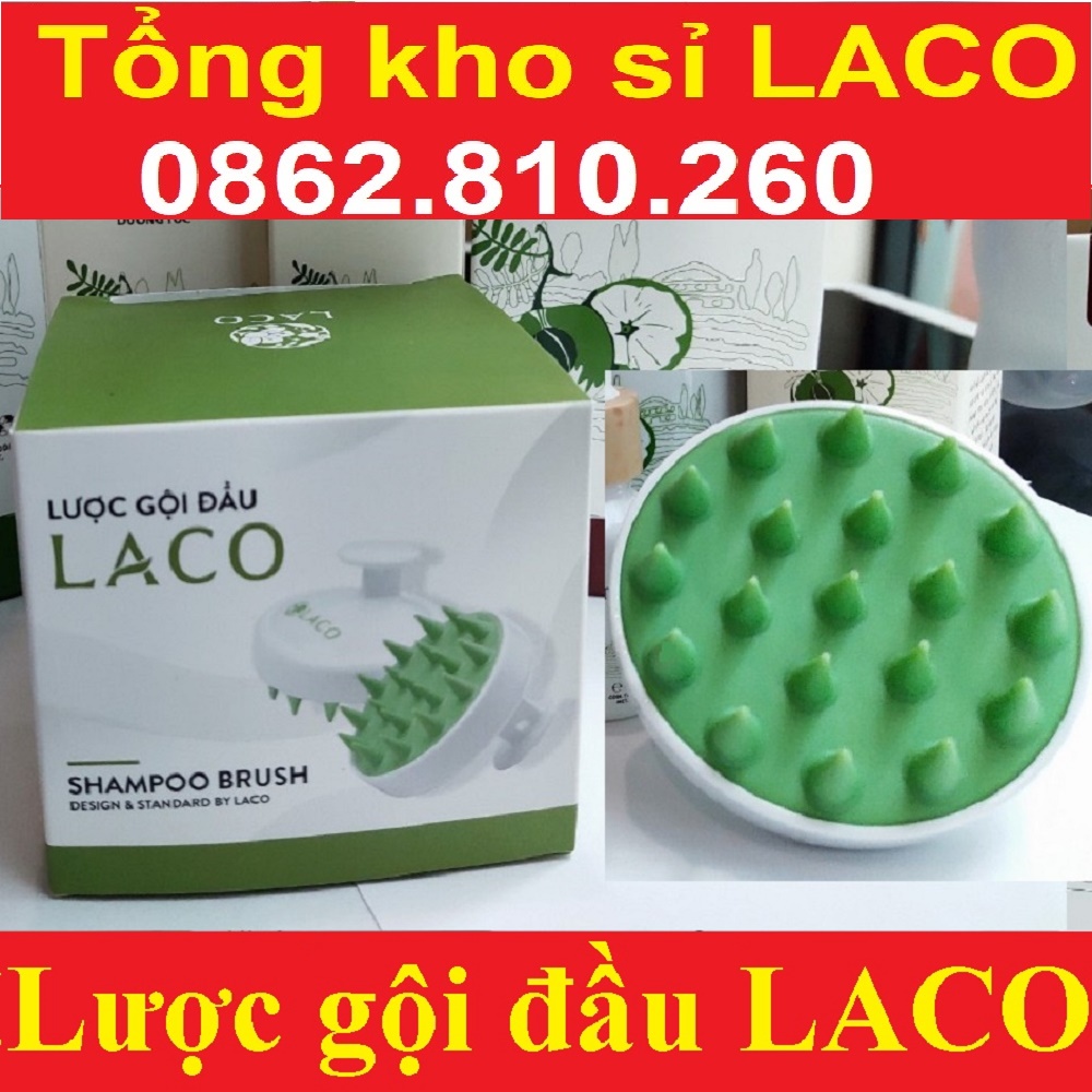 (Gãi da đầu rất thích) Lược bàn chải massag gội đầu cao cấp LACO - Giảm Xước Da Đầu - Ngăn Rụng Khi Gội Lược tắm gội đầu
