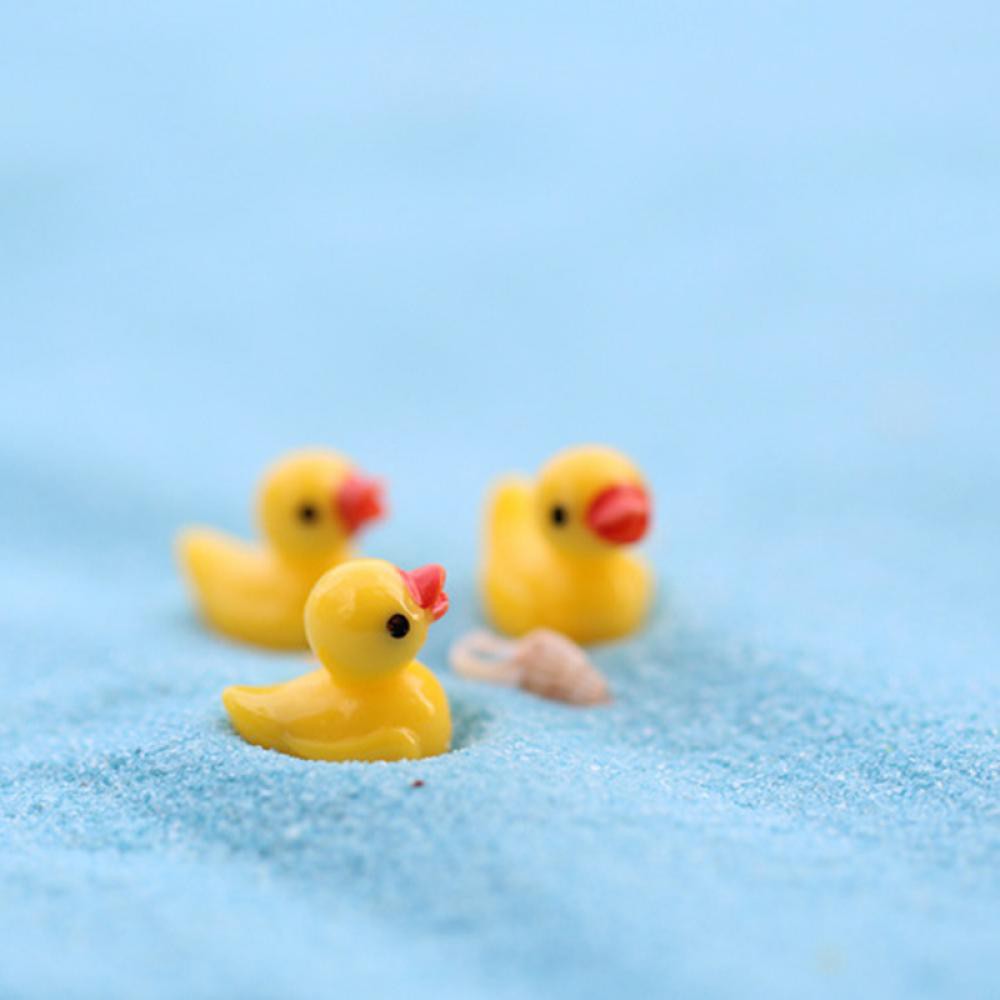 Set 5 vịt nhựa mini trang trí vườn